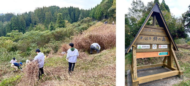 茅苗の植栽作業と茅の刈り取りを行いました。