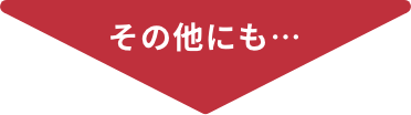 その他にも…